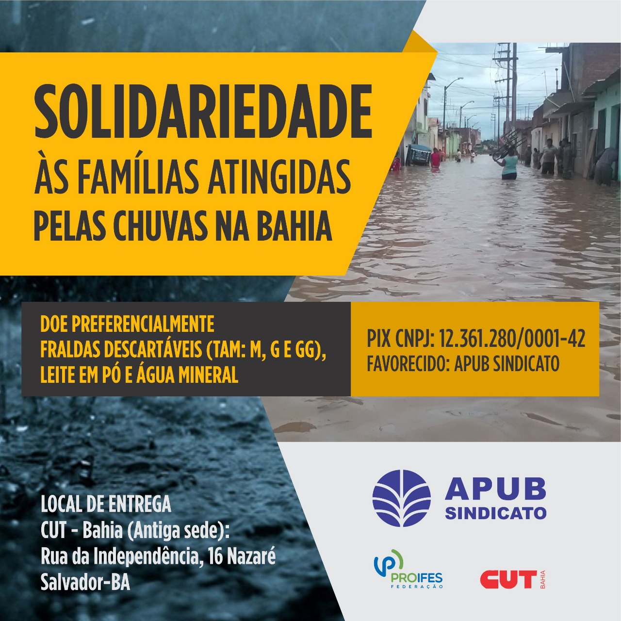 Pedimos que considerem oferecer água e abrigo', publicou fã-clube