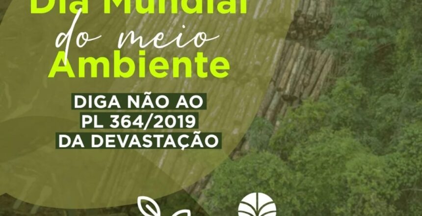 WhatsApp Image 2025-06-05 at 18.37.21