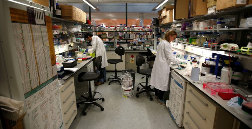 labwork-research