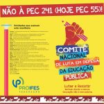 comite nacional de luta