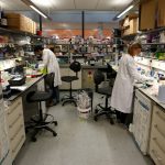 labwork-research
